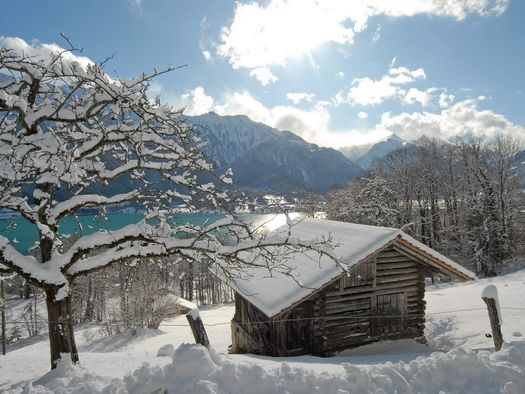Ein Spazierpfad führt durch die märchenhafte Winterlandschaft und vorbei an einer verschneiten Hütte
