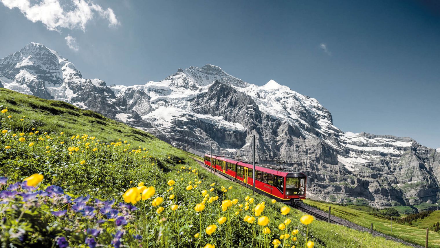 Blumenwiese mit Jungfraubahn mit den Bergen Mönch und Jungfrau im Hintergrund