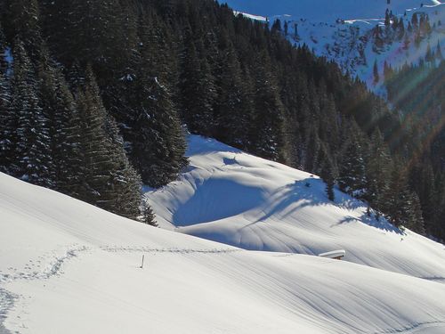 Verschneite Winter-Landschaft mit rosa Pfosten der den Schneeschuhtrail auf der Grimmialp im Diemtigtal markiert