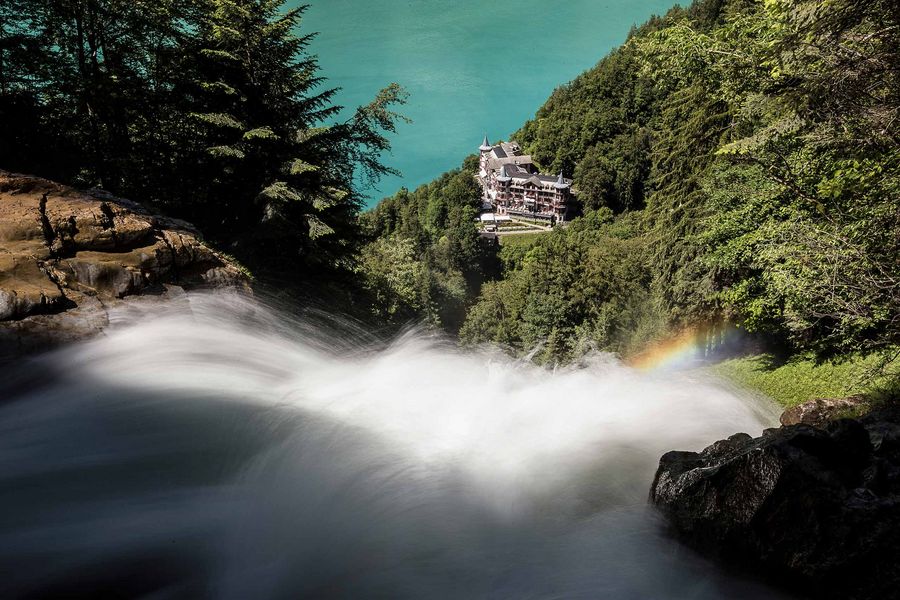 Parc animalier de Brienz – La découverte de la faune