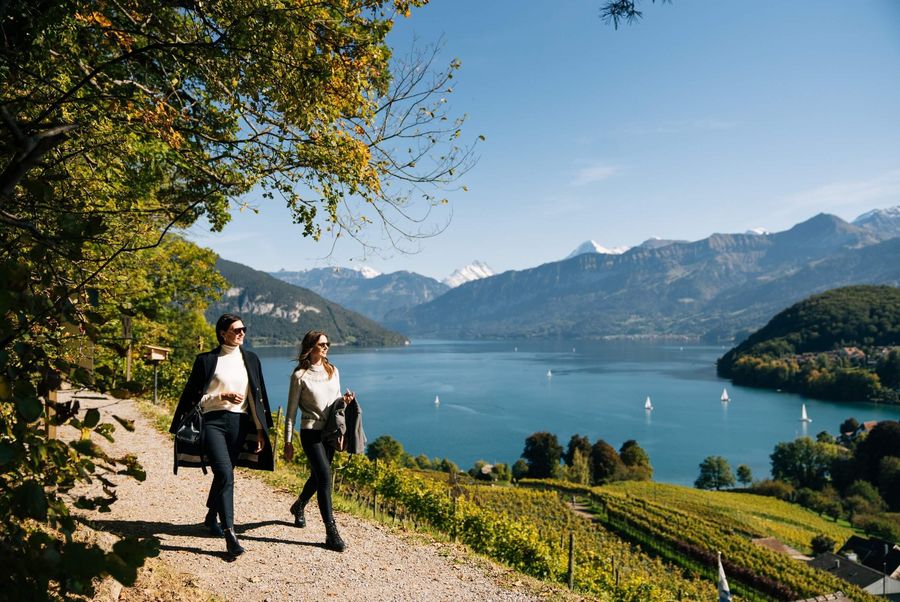 Spaziergang im Spiezer Rebberg