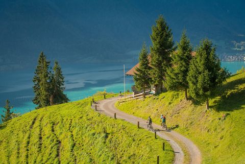 Biker unterwegs auf einem Feldweg oberhalb des türkisen Brienzersees